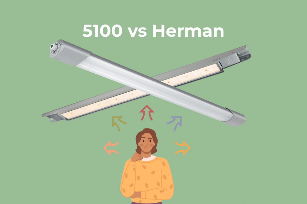 Connect 5100 vs Herman IP23 5100 vs Herman IP23